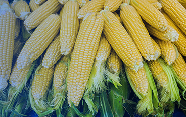  降粘復(fù)合酶