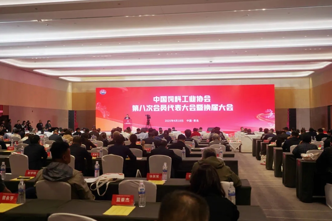 1745372369480869.png 02.png